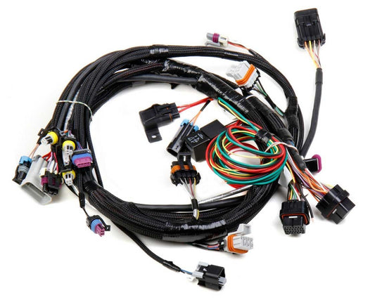 Main Wiring Harness LS1 & LS6 - Holley EFI | Evolution Auto Retroworks