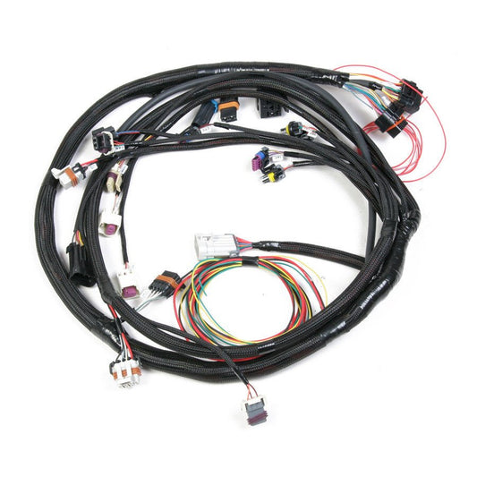 Main Harness - Universal MPFI - Holley EFI | Evolution Auto Retroworks