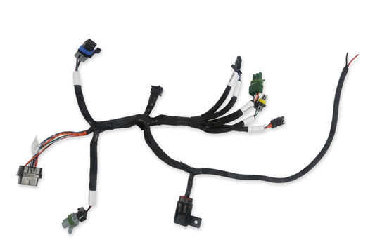 Bench - Top EFI Test Harness - Holley EFI | Evolution Auto Retroworks