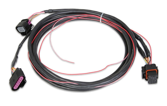 Drive By Wire Harness GM - Holley EFI | Evolution Auto Retroworks