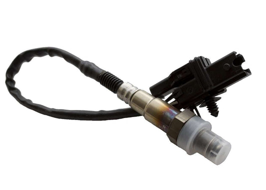 Wideband O2 Sensor - AutoMeter | Evolution Auto Retroworks