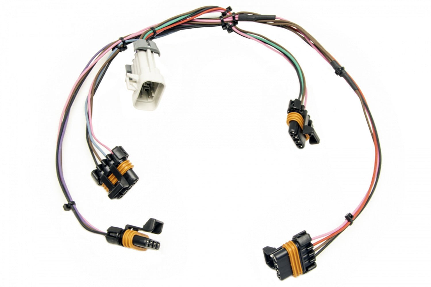 Ignition Harness 97 - 04 LS1 Engines - Painless Wiring | Evolution Auto Retroworks